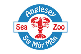 Anglesey Sea Zoo