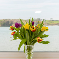 Anglesey Holidays