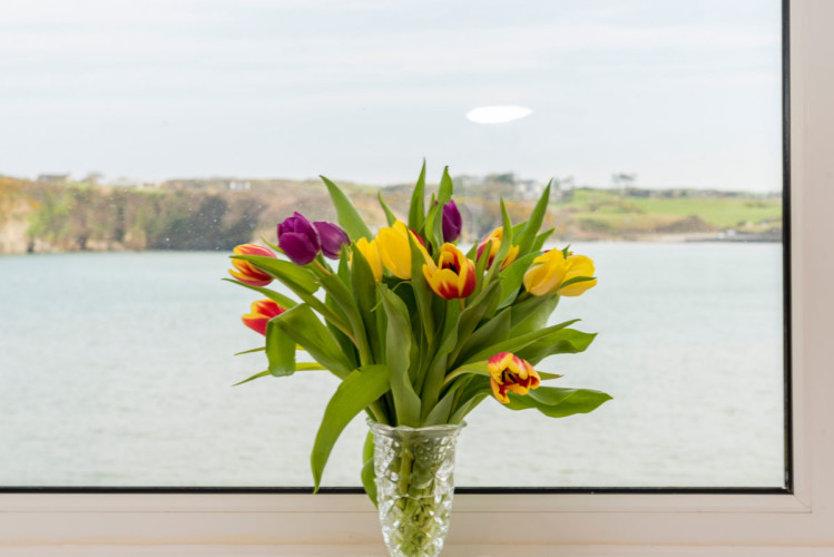 Anglesey Holidays