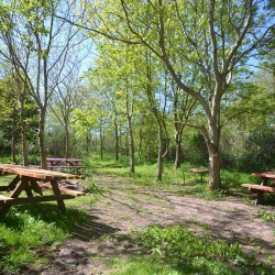 Hendy Tyddyn Mon grounds