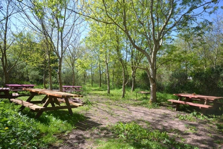 Hendy Tyddyn Mon grounds