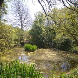 Hendy Tyddyn Mon Grounds