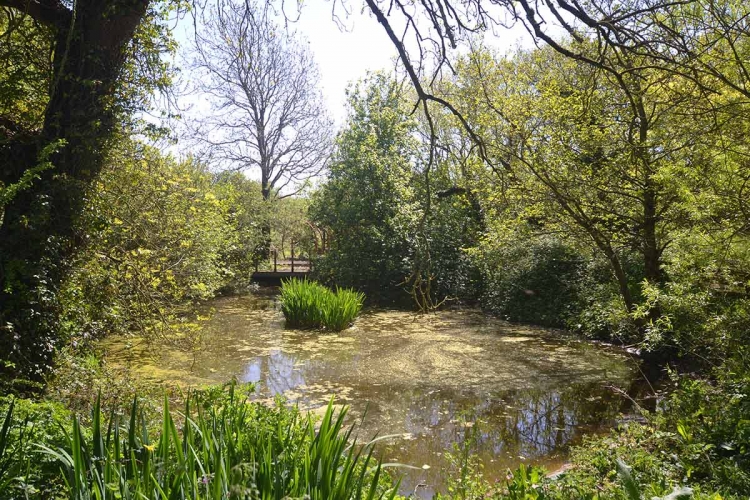Hendy Tyddyn Mon Grounds