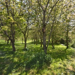 Hendy Tyddyn Mon Grounds