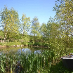 Hendy Tyddyn Mon Grounds