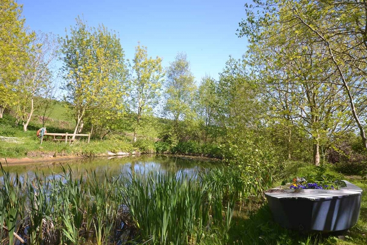 Hendy Tyddyn Mon Grounds