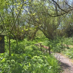 Hendy Tyddyn Mon