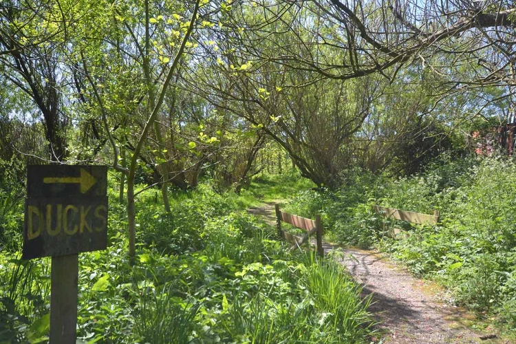Hendy Tyddyn Mon