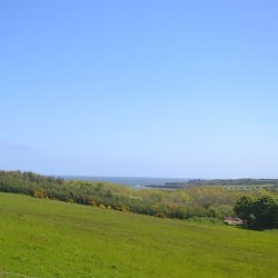 Hendy Tyddyn Mon