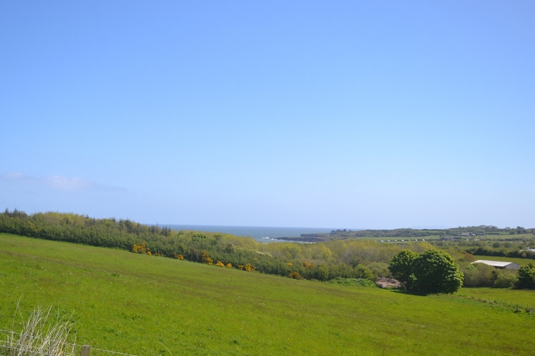Hendy Tyddyn Mon