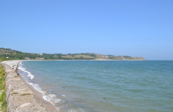 Wern y Wylan Sycamore