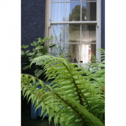 Self Catering Accommodation