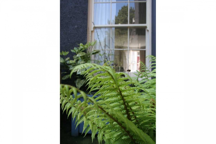 Self Catering Accommodation