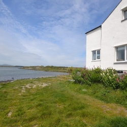 Dog Friendly Holiday Cottages