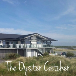 Oystercatcher