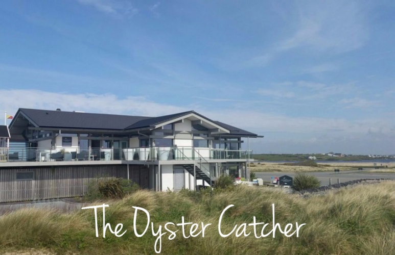 Oystercatcher