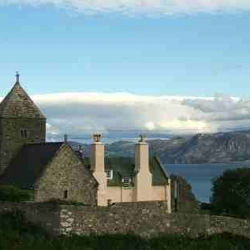 Guillemot