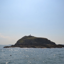 Puffin Island