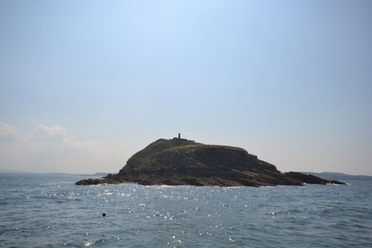 Puffin Island