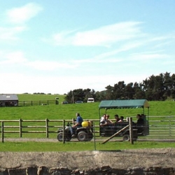 Foel Farm Park