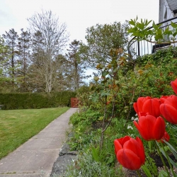 Wern y Wylan Court