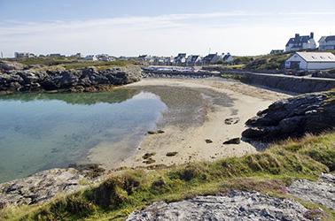 Anglesey oyster festival