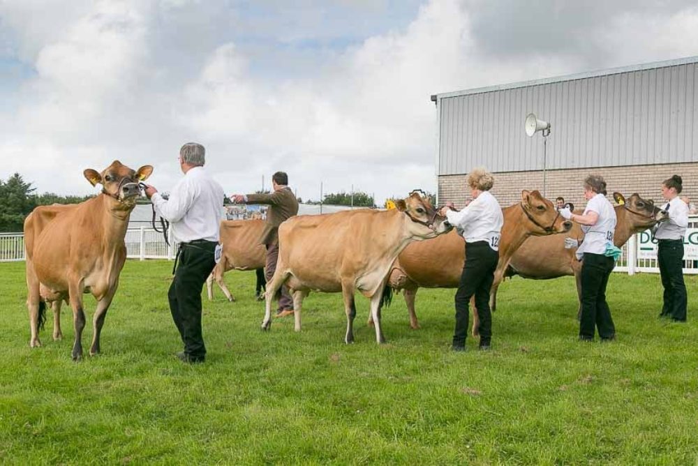 Anglesey Events